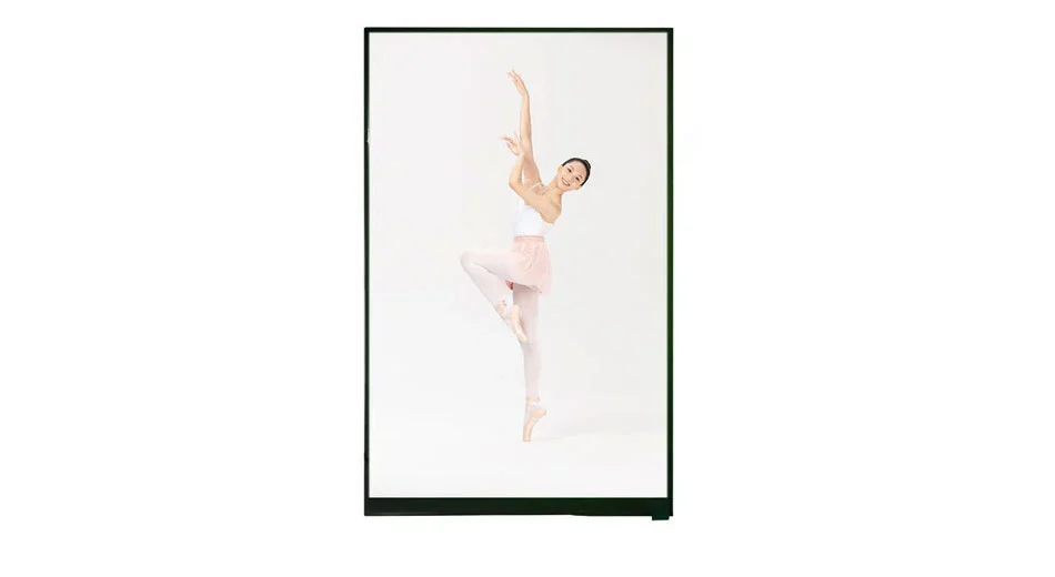 Z116001 Tipo de Barra de 11,6 Pulgadas 1920*1080 IPS LCD Pantalla LVDS Interfaz TFT