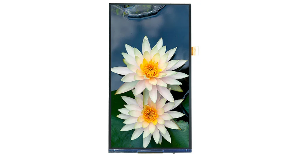 Z70079 720P 7 pulgadas 720*1280 pantalla LCD MIPI interfaz JD9366AB controlador IC 30PIN