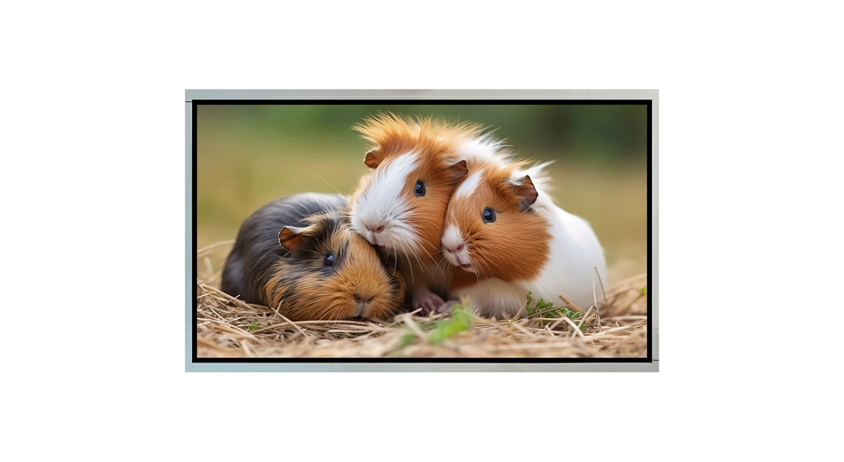 Pantalla de monitor de 21,5 pulgadas Z215001 1920x1080 LVDS interfaz TFT LCD de alta velocidad